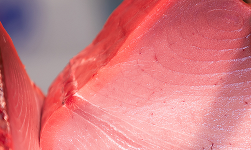 福島商店のこだわりの鮪