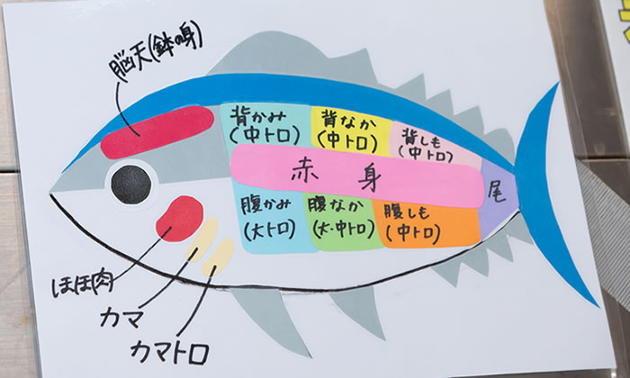 まぐろの目利き福島商店自慢のまぐろ